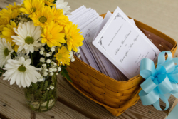 Muschlitz Photography