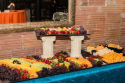 Sarah Elizabeth Photography