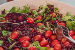 Sarah Elizabeth Photography