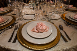 Sarah Elizabeth Photography