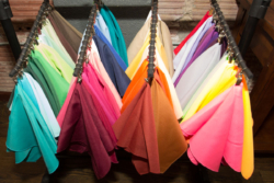 Sarah Elizabeth Photography