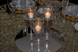 Sarah Elizabeth Photography