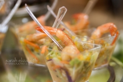 Sarah Elizabeth Photography