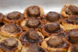 Sarah Elizabeth Photography